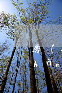房產(chǎn)官司起訴費多少(房產(chǎn)官司的起訴時間是多少)
