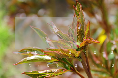 房產(chǎn)寫一個(gè)人的名字怎么繼承(房產(chǎn)繼承人能寫幾個(gè)人)