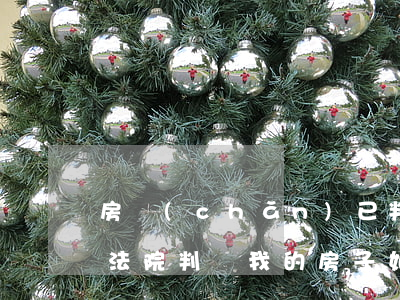 房產(chǎn)已判決交錢給法院可以嗎(法院判給我的房子如何過戶要交費(fèi)么)