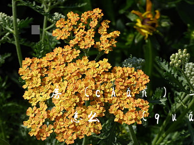 房產(chǎn)廣告忽悠客戶,遭遇不實宣傳怎么維權(quán)