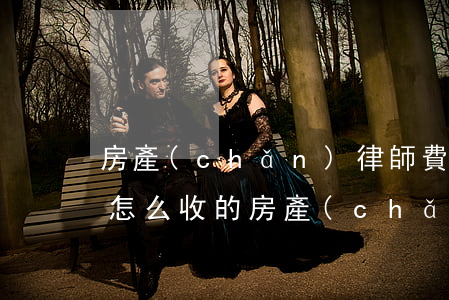 房產(chǎn)律師費(fèi)用一般怎么收的(房產(chǎn)官司律師費(fèi)用收取標(biāo)準(zhǔn))