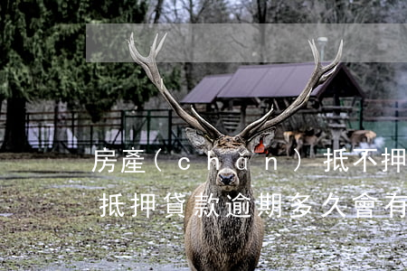 房產(chǎn)抵不押貸款逾期多久(房子抵押貸款逾期多久會有什么后果)