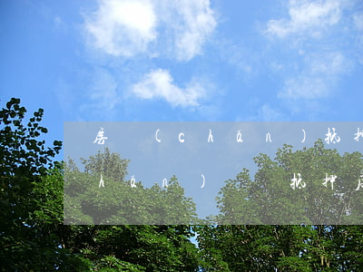 房產(chǎn)抵押借錢還不出,房產(chǎn)過戶（抵押后無力償還過戶）