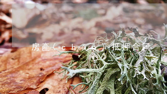 房產(chǎn)抵押合同