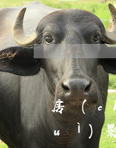 房產(chǎn)抵押貸款逾期一天會(huì)影響信用嗎（信用卡逾期會(huì)抵押房產(chǎn)）