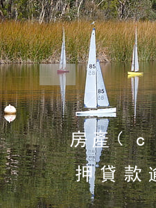 房產(chǎn)抵押貸款逾期罰息(房子抵押貸款逾期罰息多少)