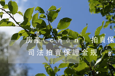 房產(chǎn)拍賣保證金可以交法院嗎(司法拍賣保證金規(guī)定)