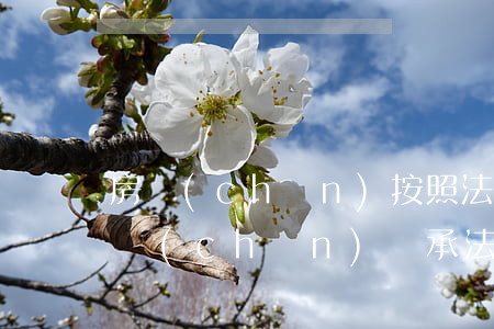 房產(chǎn)按照法定繼承怎么繼承(房產(chǎn)繼承法律依據(jù))