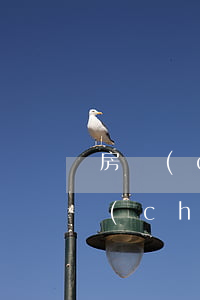 房產(chǎn)死者父母可以繼承嗎(房產(chǎn)繼承必須父母過世嗎)