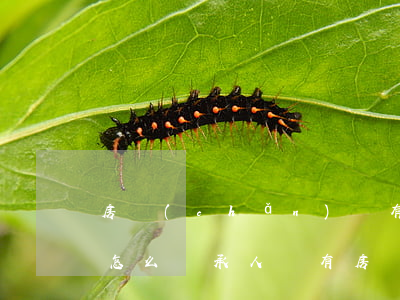 房產(chǎn)沒有房產(chǎn)證怎么繼承人(沒有房產(chǎn)證怎么進行繼承)