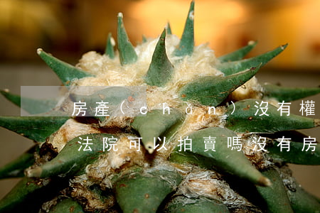 房產(chǎn)沒有權(quán)利人法院可以拍賣嗎(沒有房產(chǎn)證可以拍賣嗎?法院拍賣沒有房產(chǎn)證的房子能買)