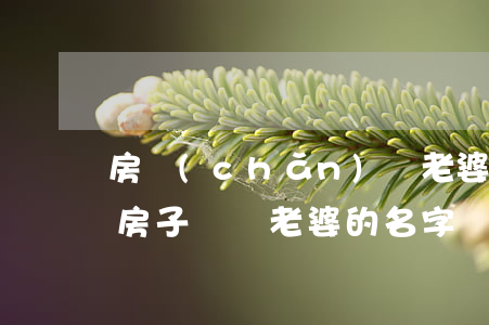 房產(chǎn)沒老婆名字離婚(婚后買的房子,沒寫老婆的名字,離婚怎么分)