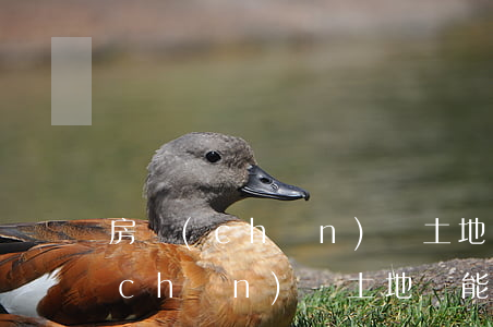 房產(chǎn)無土地證能繼承嗎(房產(chǎn)無土地證能繼承嗎)