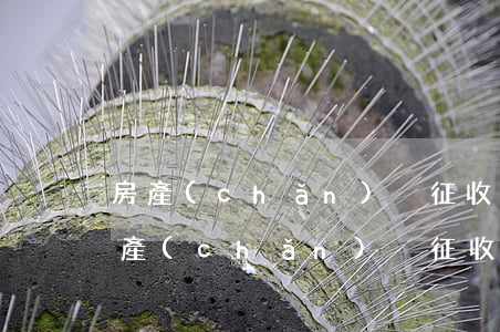 房產(chǎn)稅征收時(shí)間(房產(chǎn)稅征收時(shí)間段)