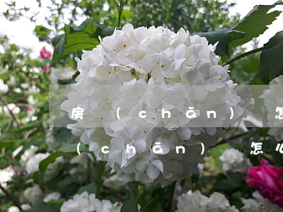 房產(chǎn)稅怎么收(2022年房產(chǎn)稅怎么收)