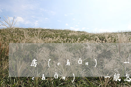 房產(chǎn)糾紛一般怎么解決(房產(chǎn)糾紛一般怎么解決)