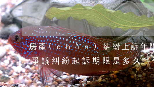 房產(chǎn)糾紛上訴年限是多久(房屋爭議糾紛起訴期限是多久)