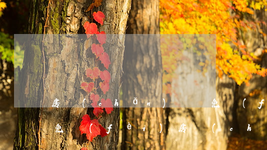 房產(chǎn)糾紛免費(fèi)律師(免費(fèi)房產(chǎn)律師電話)