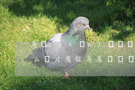 房產(chǎn)糾紛協(xié)議書怎么寫才有效(房屋糾紛協(xié)議書)