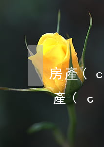 房產(chǎn)糾紛律師收費多少(民事房產(chǎn)糾紛的律師費多少)