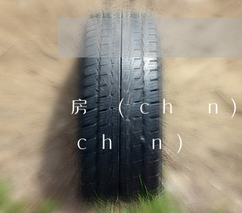 房產(chǎn)糾紛律師費多少錢(房產(chǎn)糾紛律師費怎么收取)