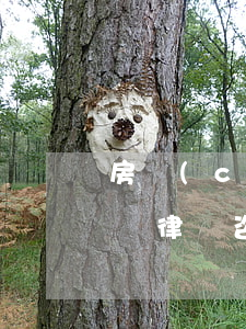 房產(chǎn)糾紛律師青島(青島民事訴訟律師咨詢)