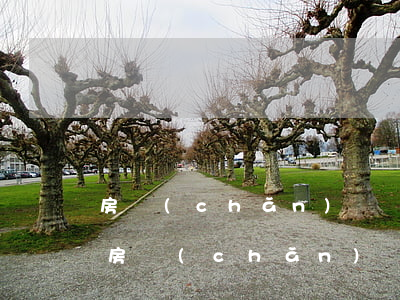 房產(chǎn)糾紛找哪個(gè)部門(房產(chǎn)糾紛找哪個(gè)部門投訴)