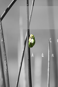 房產(chǎn)糾紛找哪個部門(房產(chǎn)證糾紛問題要找什么部門)