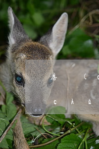 房產(chǎn)糾紛案例(兄弟之間房產(chǎn)糾紛案例)
