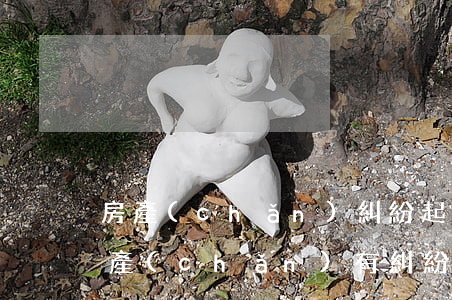 房產(chǎn)糾紛起訴打官司的流程(房產(chǎn)有糾紛怎么起訴明確自己房產(chǎn))