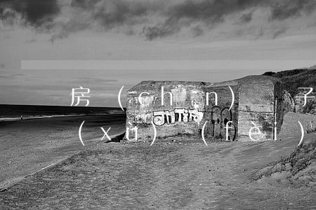 房產(chǎn)給兒子繼承要辦什么手續(xù)費(fèi)(子女繼承房產(chǎn)需要什么費(fèi)用)