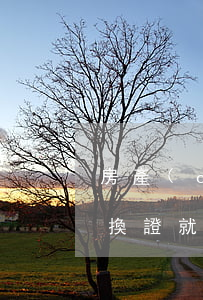 房產(chǎn)繼承先換證再過戶嗎(繼承換證就可以交易了嗎)