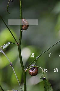 房產(chǎn)繼承公證取消了嗎(繼承公證取消了為什么還要公證)
