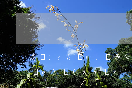 房產(chǎn)繼承公證按什么標(biāo)準(zhǔn)收費(fèi)(房產(chǎn)繼承公證費(fèi)收取標(biāo)準(zhǔn))
