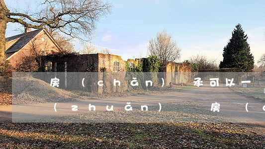 房產(chǎn)繼承可以一個人繼承后轉(zhuǎn)讓嗎(房產(chǎn)繼承可以一個人繼承后轉(zhuǎn)讓嗎)