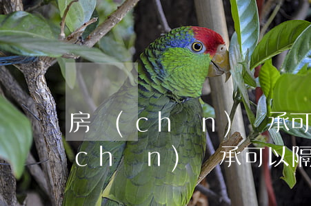 房產(chǎn)繼承可以第三代嗎(房產(chǎn)繼承可以隔輩繼承嗎)