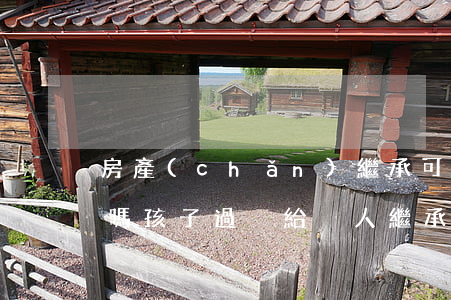 房產(chǎn)繼承可以過戶給三個子女嗎(孩子過戶給別人,繼承問題)