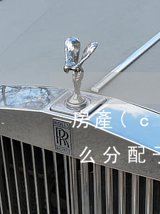 房產(chǎn)繼承多個(gè)子女怎么分配(子女繼承房產(chǎn)如何分配份額)