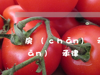 房產(chǎn)繼承 律師(北京房產(chǎn)繼承律師)
