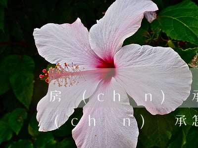 房產(chǎn)繼承怎么寫(公證遺囑房產(chǎn)繼承怎么寫)