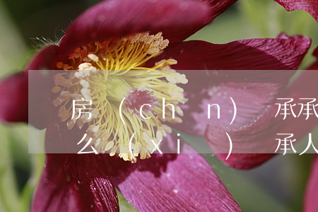 房產(chǎn)繼承承諾書(shū)怎么寫(xiě)(繼承人承諾書(shū)怎么寫(xiě))