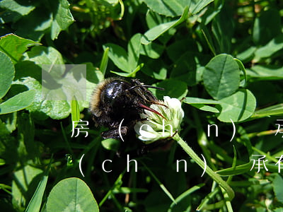 房產(chǎn)繼承收益額怎么算的(房產(chǎn)繼承有哪些費(fèi)用)