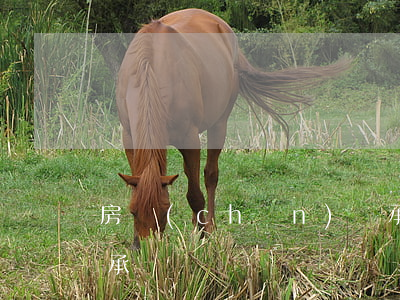 房產(chǎn)繼承有貸款怎么辦(貸款繼承嗎)