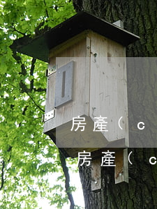 房產(chǎn)繼承權(quán)律師(房產(chǎn)繼承權(quán)律師 天津)