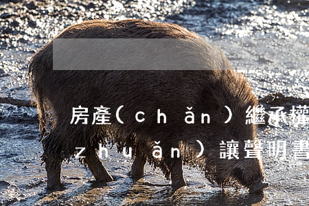 房產(chǎn)繼承權(quán)轉(zhuǎn)讓聲明書怎么寫(房產(chǎn)繼承的起訴書怎么寫)