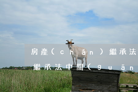 房產(chǎn)繼承法律依據(jù)(新繼承法中關(guān)于房產(chǎn)繼承人最新規(guī)定)