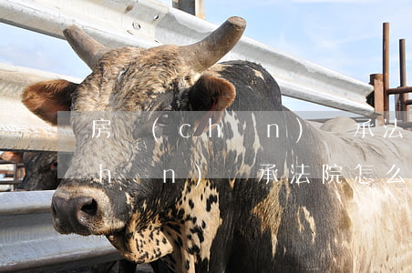 房產(chǎn)繼承法院怎么判(房產(chǎn)繼承法院怎么判)