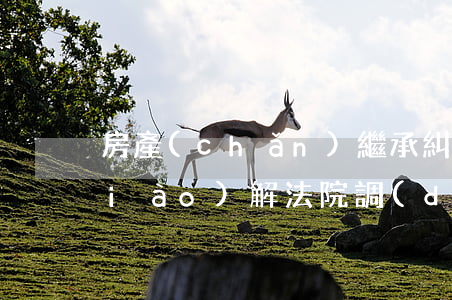 房產(chǎn)繼承糾紛怎么法院調(diào)解(法院調(diào)解遺產(chǎn)繼承糾紛)