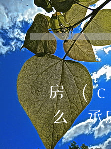 房產(chǎn)繼承糾紛的解決辦法是什么(繼承房產(chǎn)糾紛怎么辦)