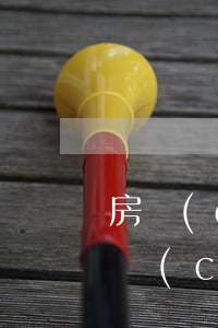 房產(chǎn)繼承糾紛起訴書怎么寫(房產(chǎn)繼承民事起訴狀范文)